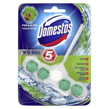 Domestos 5 li güç Çam Ferahlığı Wc Blok 55 Gr